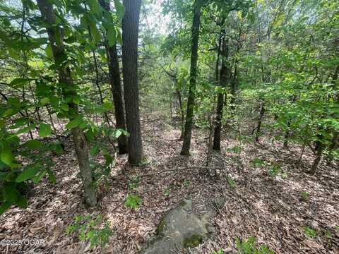 1485 Cowan Ridge Road, Powell, MO 65730