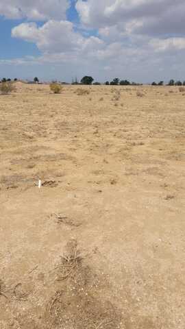Ironwood Ave. Avenue, California City, CA 93505