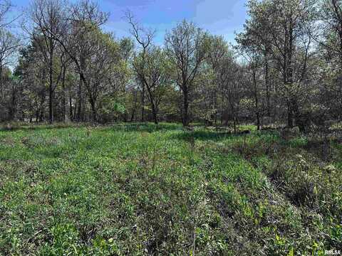 1812-1890 Hazel Dell Road, Greenup, IL 62428