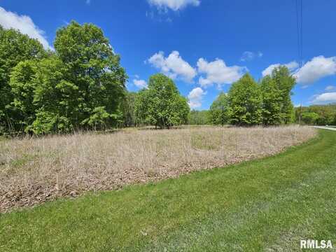Lot 41 N DEER PARK Drive, Dix, IL 62830
