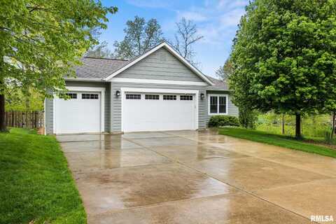13377 LAKEVIEW Court, Tremont, IL 61568