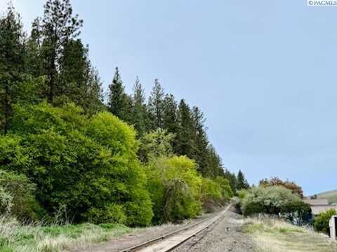 Tbd By Perkins St, Colfax, WA 99111