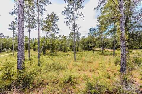 7435 Tidwell Rd, Pace, FL 32571