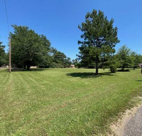 TBD ACR 308, FRANKSTON, TX 75763