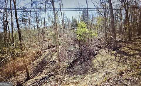 0 Lot 3540 Newport, Ellijay, GA 30540