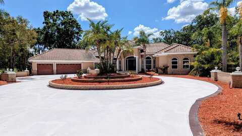 4872 SILVERTHORNE COURT, OLDSMAR, FL 34677