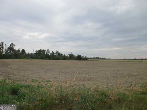 08600022t1 Redbird, Lumber City, GA 31549