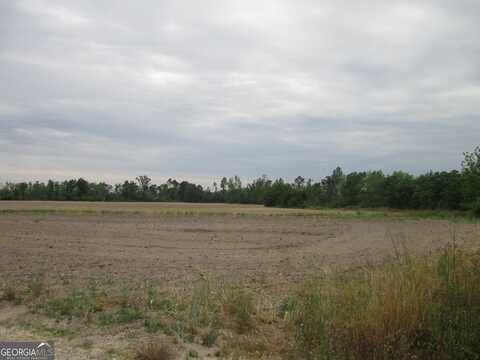 08600022t5 Redbird, Lumber City, GA 31549