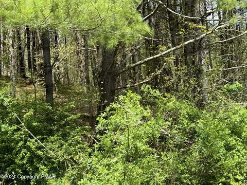 Haney Road, Kunkletown, PA 18058