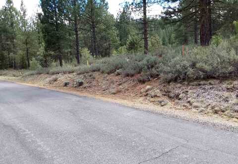 1197 Great Spirit, Portola, CA 96122