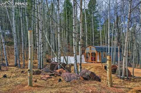 577 Buckhorn Road, Cripple Creek, CO 80813