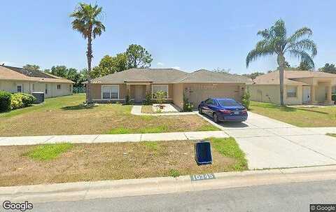 Velvetseed, SPRING HILL, FL 34608
