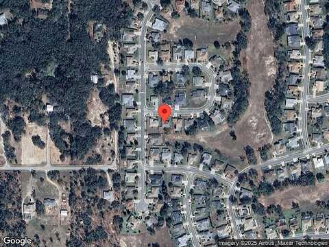 Velvetseed, SPRING HILL, FL 34608