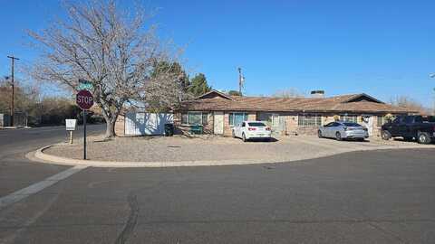Pecan, SAFFORD, AZ 85546
