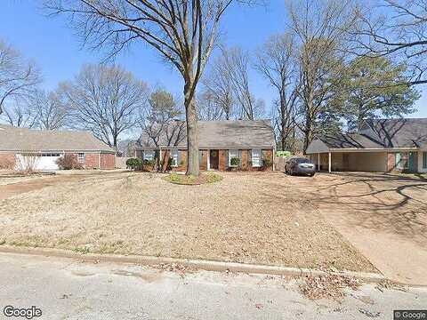 Blueberry, MEMPHIS, TN 38116