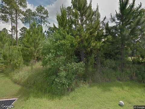 Long Needle, BAKER, FL 32531