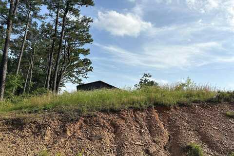 Middleton, CENTER RIDGE, AR 72027