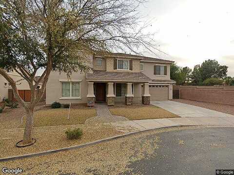 Swan, QUEEN CREEK, AZ 85142