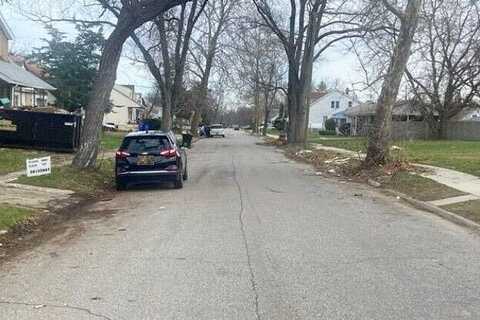 Fleming, DETROIT, MI 48234