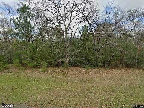 Mink Lake, MAGNOLIA, TX 77355