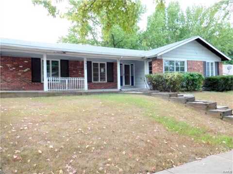 Cathedral Hill, SAINT LOUIS, MO 63138