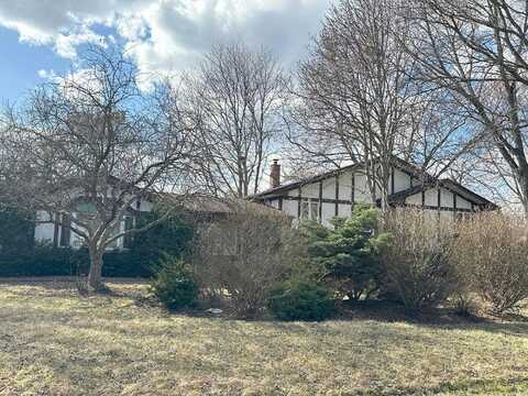 Strenger, RIVERWOODS, IL 60015