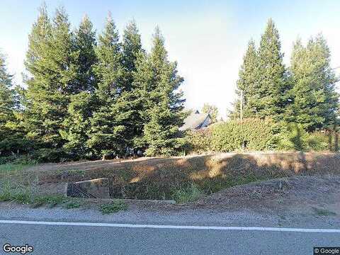 Holstein, REDDING, CA 96002