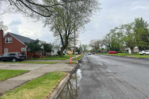 Ryan, DETROIT, MI 48234