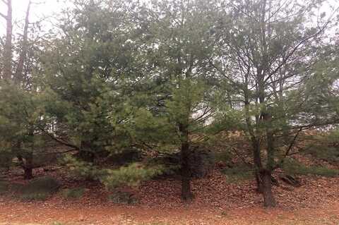 Ridge, POMONA, NY 10970