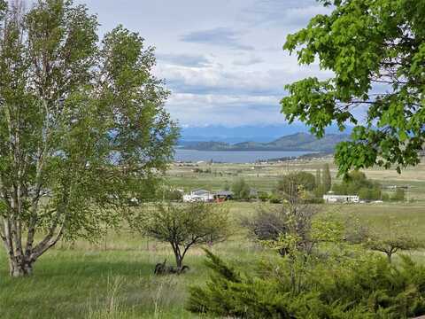 Walking Horse, BIG ARM, MT 59910