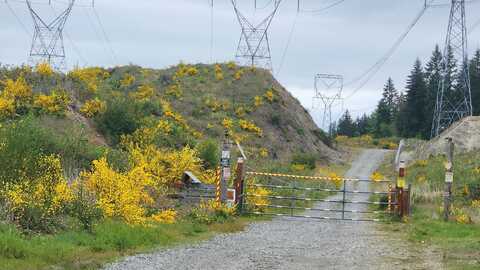 68Th Ave So, Roy, Wa 98580, Roy, WA 98580