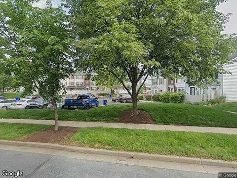 Boysenberry, FREDERICK, MD 21703