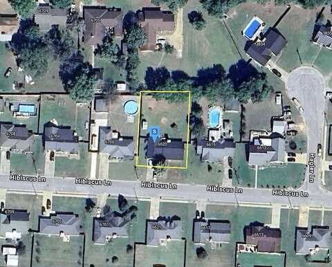 Hibiscus, NORTHPORT, AL 35473