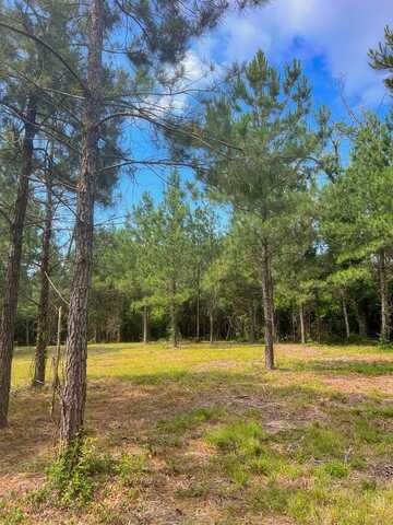 21.41 AC Egg Farm Road, Poplarville, MS 39470