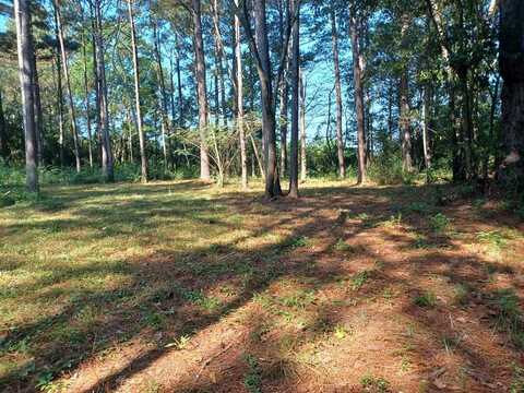 NHN Cheryl Ln, Lake Hillsdale, MS 39455