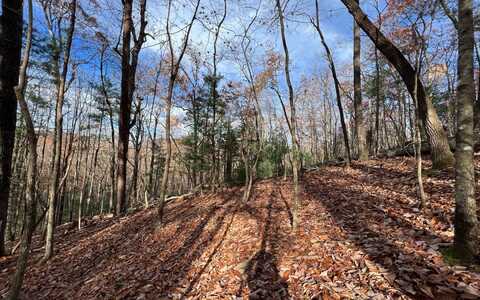 J-214 Walnut Mountain Road, Ellijay, GA 30536