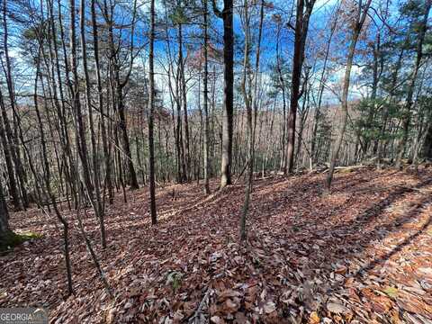 J-214 Walnut Mountain Road, Ellijay, GA 30536