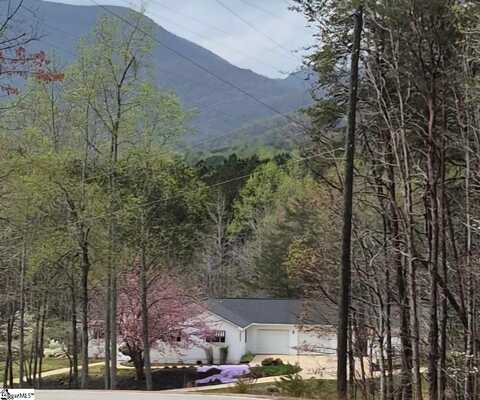 620 Oak Grove Road, Landrum, SC 29356