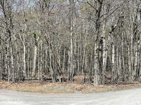 1901-1902 Horizon Drive, Greentown, PA 18426