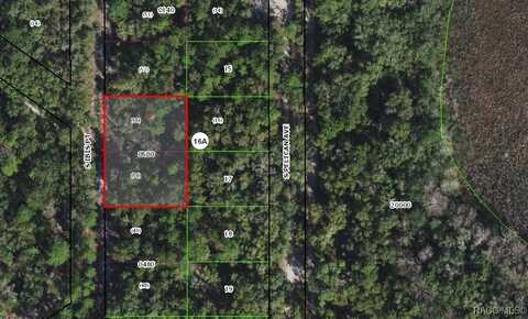 3849 S Ibis Point, Inverness, FL 34450