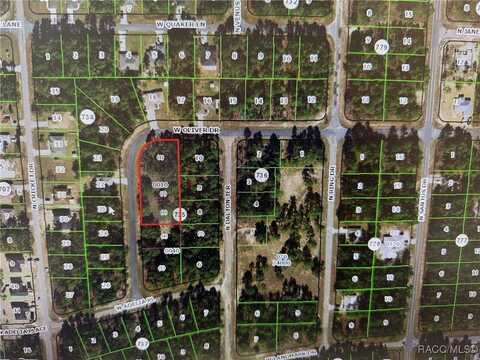 1930 W Oliver Drive, Dunnellon, FL 34434
