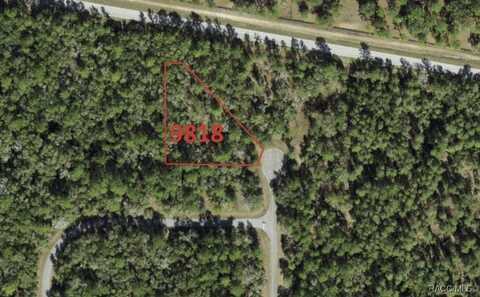 9818 N Lily Drive, Dunnellon, FL 34434