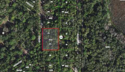 3875 S Ibis Point, Inverness, FL 34450