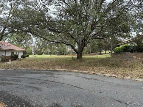 3667 W Treyburn Path, Lecanto, FL 34461