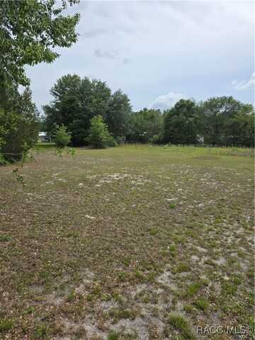 SE 195th Place, Dunnellon, FL 34431