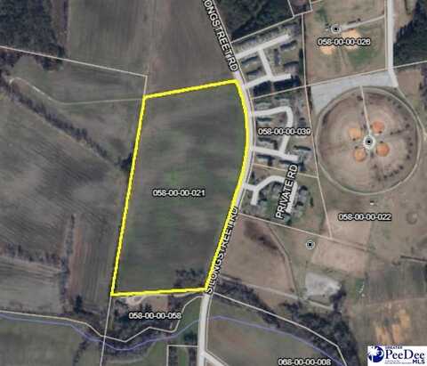 tbd Longstreet, Dillon, SC 29536