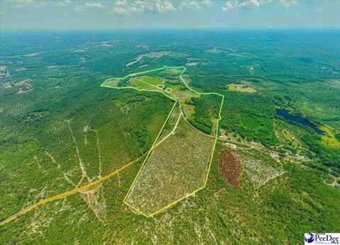 Turnage Rd-213.96 acres, Patrick, SC 29584