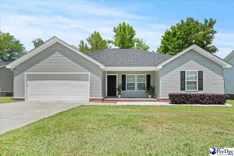 3324 Spiral Ln., Effingham, SC 29541