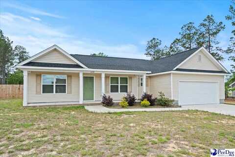 6680 George Coker Ln, Cheraw, SC 29520