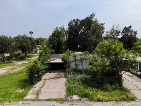 1207 Brazos Street, Alamo, TX 78516